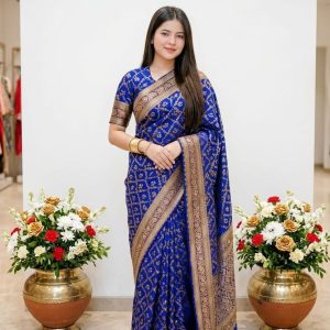 Silk Sharee with Blouse Piece